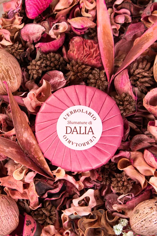 foto-dalia